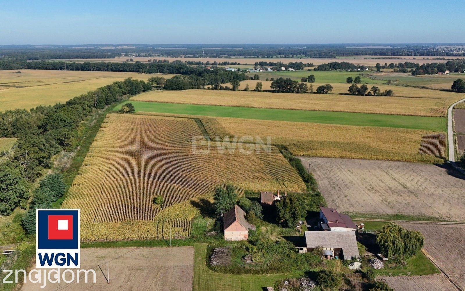 Dom na  sprzedaż Henrykowice - Działka 4300 m2 z zabudowaniami - Henrykowice - Dolina Baryczy. - zdjęcie 5