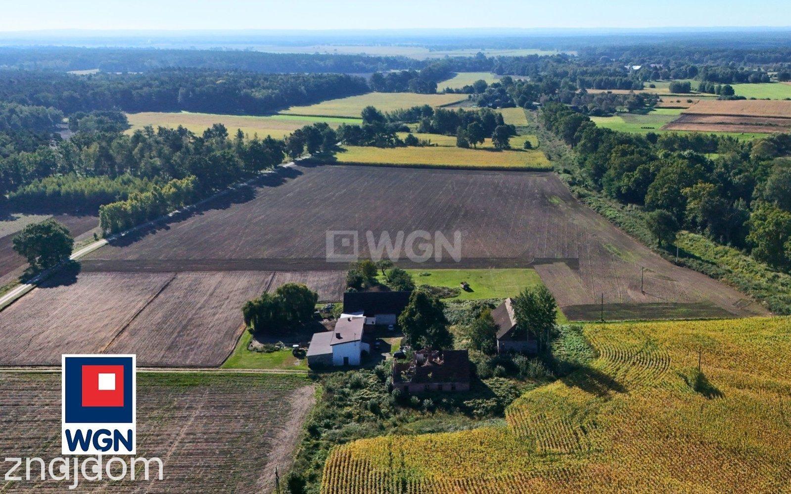 Dom na  sprzedaż Henrykowice - Działka 4300 m2 z zabudowaniami - Henrykowice - Dolina Baryczy. - zdjęcie 4