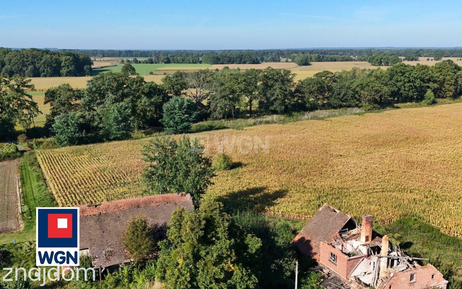 Dom na  sprzedaż Henrykowice - Działka 4300 m2 z zabudowaniami - Henrykowice - Dolina Baryczy. - zdjęcie 2
