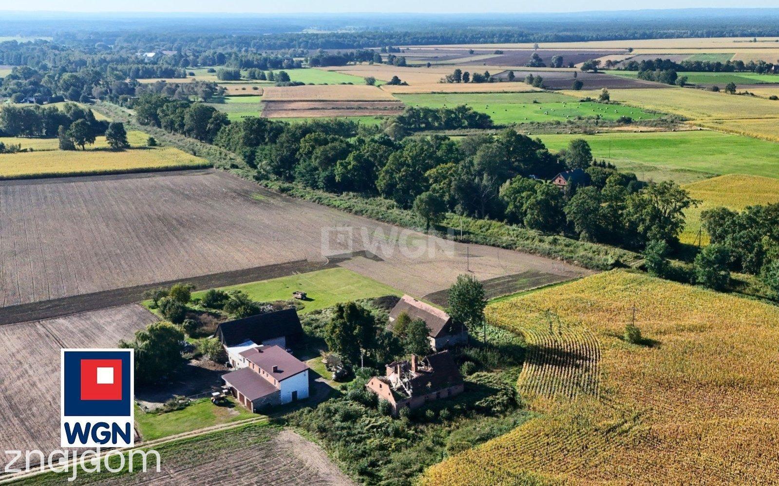 Dom na  sprzedaż Henrykowice - Działka 4300 m2 z zabudowaniami - Henrykowice - Dolina Baryczy. - zdjęcie 20