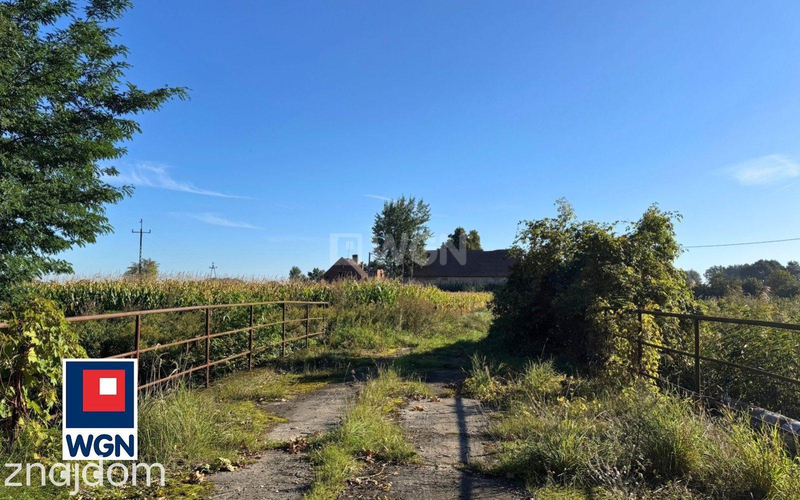 Dom na  sprzedaż Henrykowice - Działka 4300 m2 z zabudowaniami - Henrykowice - Dolina Baryczy. - zdjęcie 19