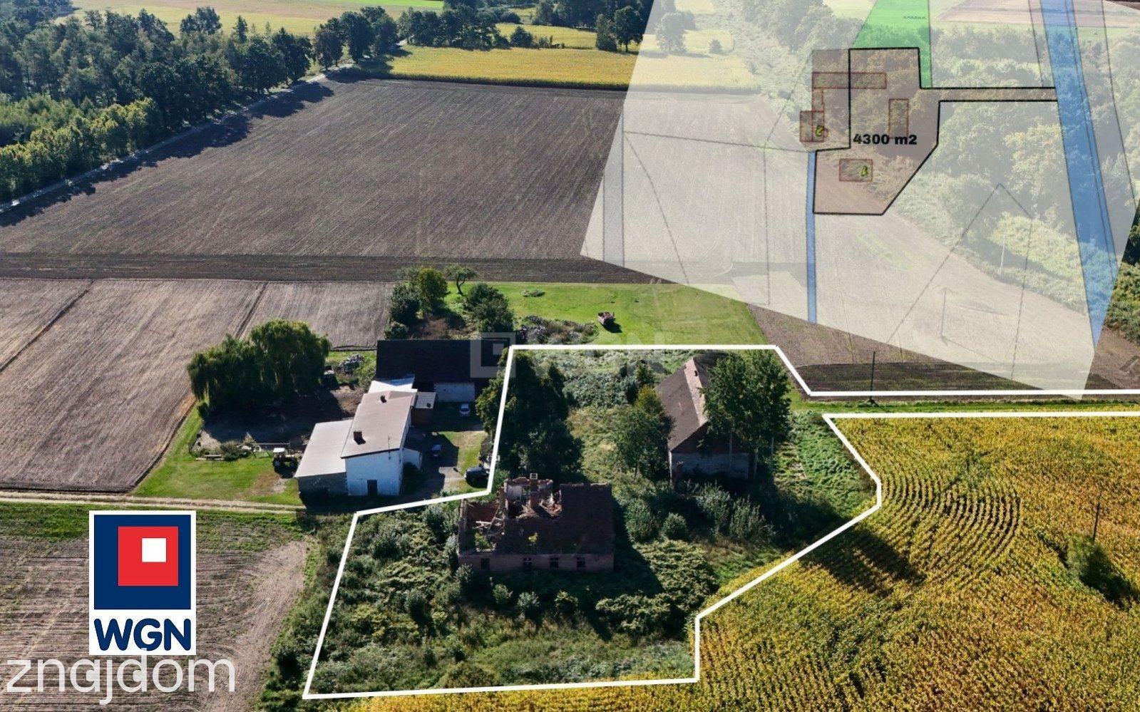 Dom na  sprzedaż Henrykowice - Działka 4300 m2 z zabudowaniami - Henrykowice - Dolina Baryczy. - zdjęcie 14