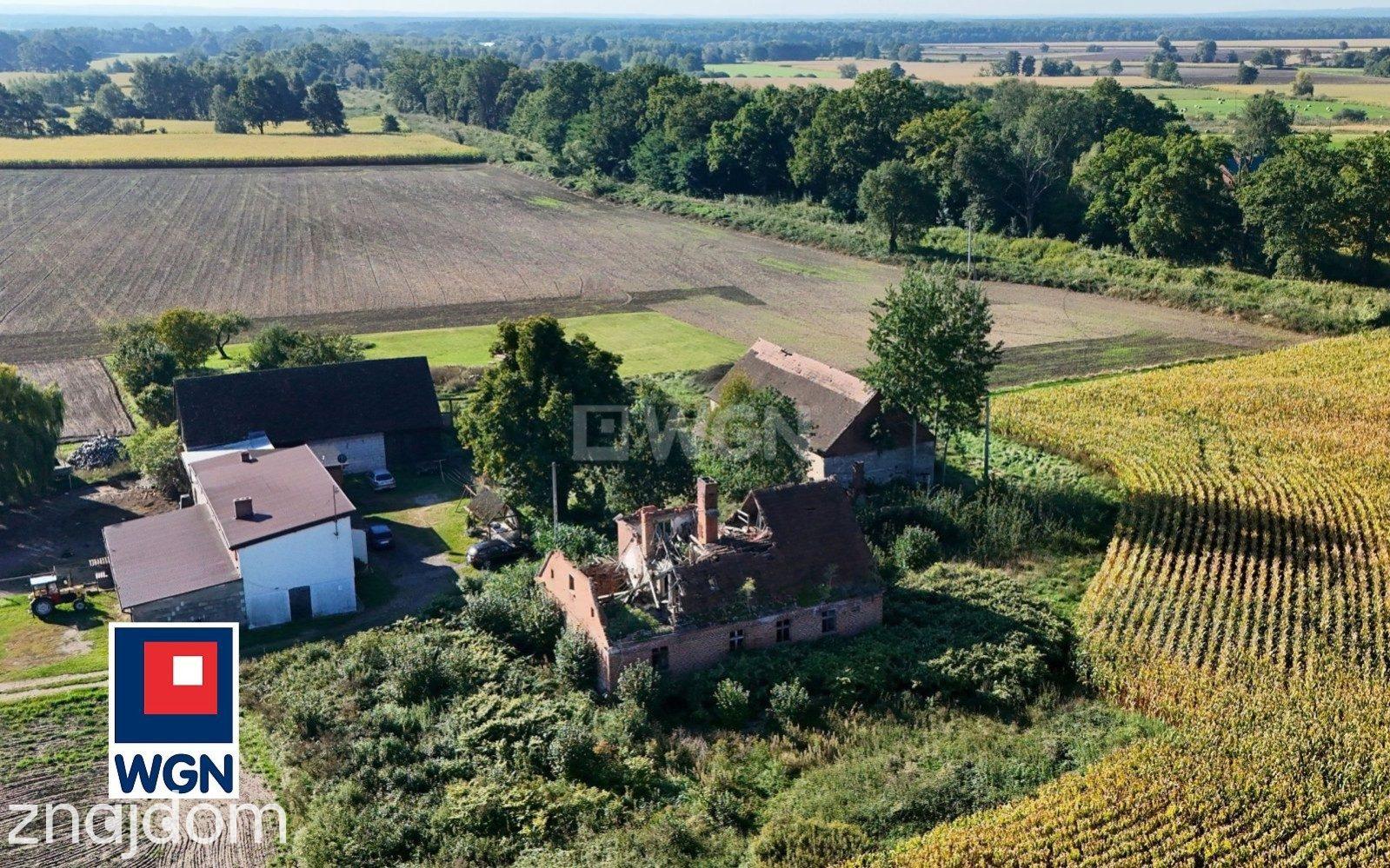 Dom na  sprzedaż Henrykowice - Działka 4300 m2 z zabudowaniami - Henrykowice - Dolina Baryczy. - zdjęcie 13