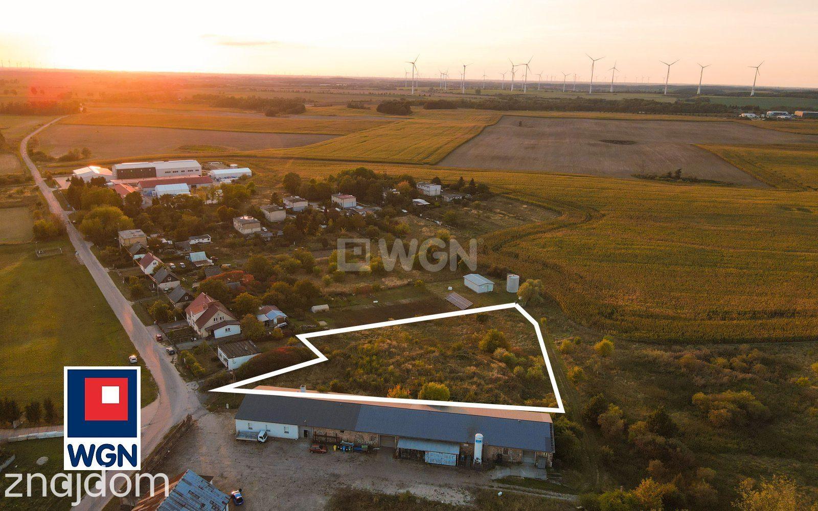 Grunt aktywizacja gospodarcza na sprzedaż Kamieniec - DZIAŁKA INWESTYCYJNA 4 955 m2| 4 HALE MAGAZYNOWE | KAMIENIEC | GRANICA NIEMIECKA - zdjęcie 7