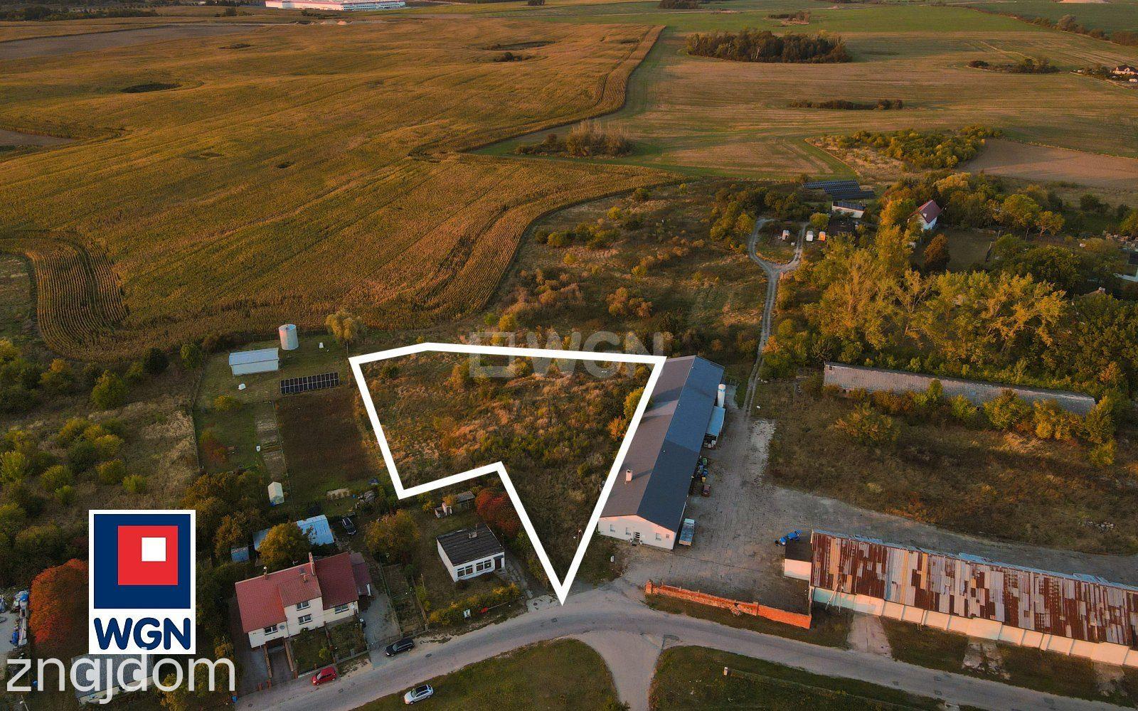 Grunt aktywizacja gospodarcza na sprzedaż Kamieniec - DZIAŁKA INWESTYCYJNA 4 955 m2| 4 HALE MAGAZYNOWE | KAMIENIEC | GRANICA NIEMIECKA - zdjęcie 3