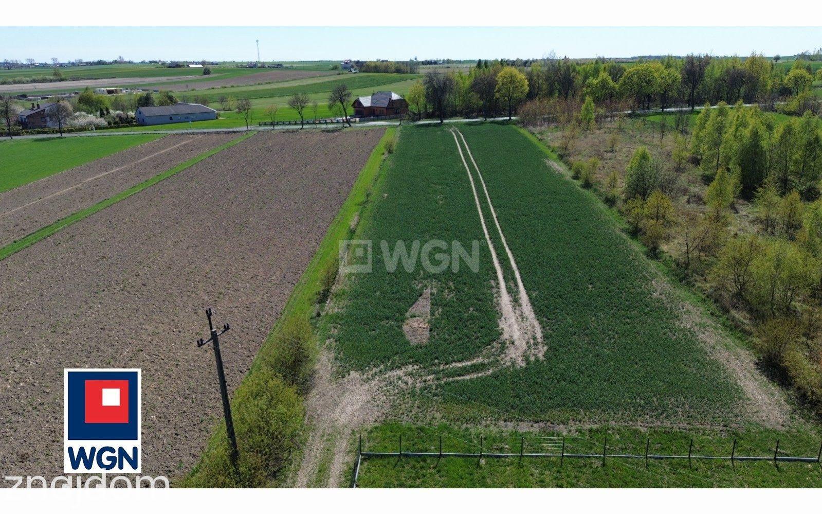 Działka na sprzedaż Kodrąb - zdjęcie 11