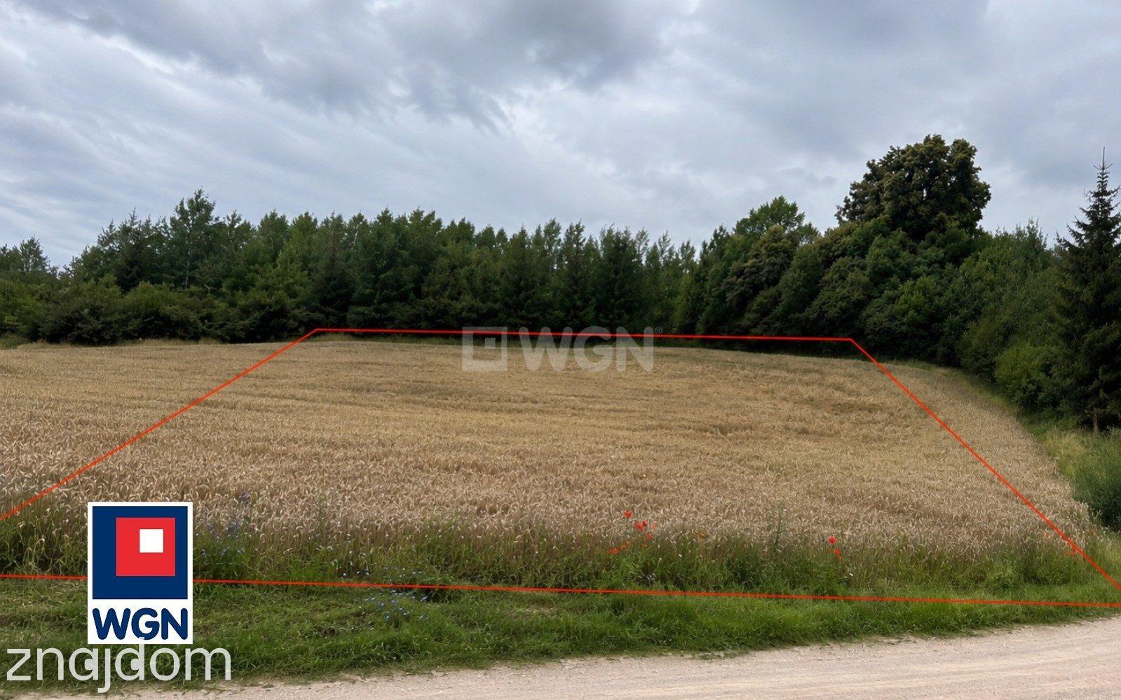 Grunt budowlany jednorodzinny na sprzedaż Wyszowate - Działka na sprzedaż Wyszowate | 4569 m2 | Blisko jeziora | MPZP - zdjęcie 4