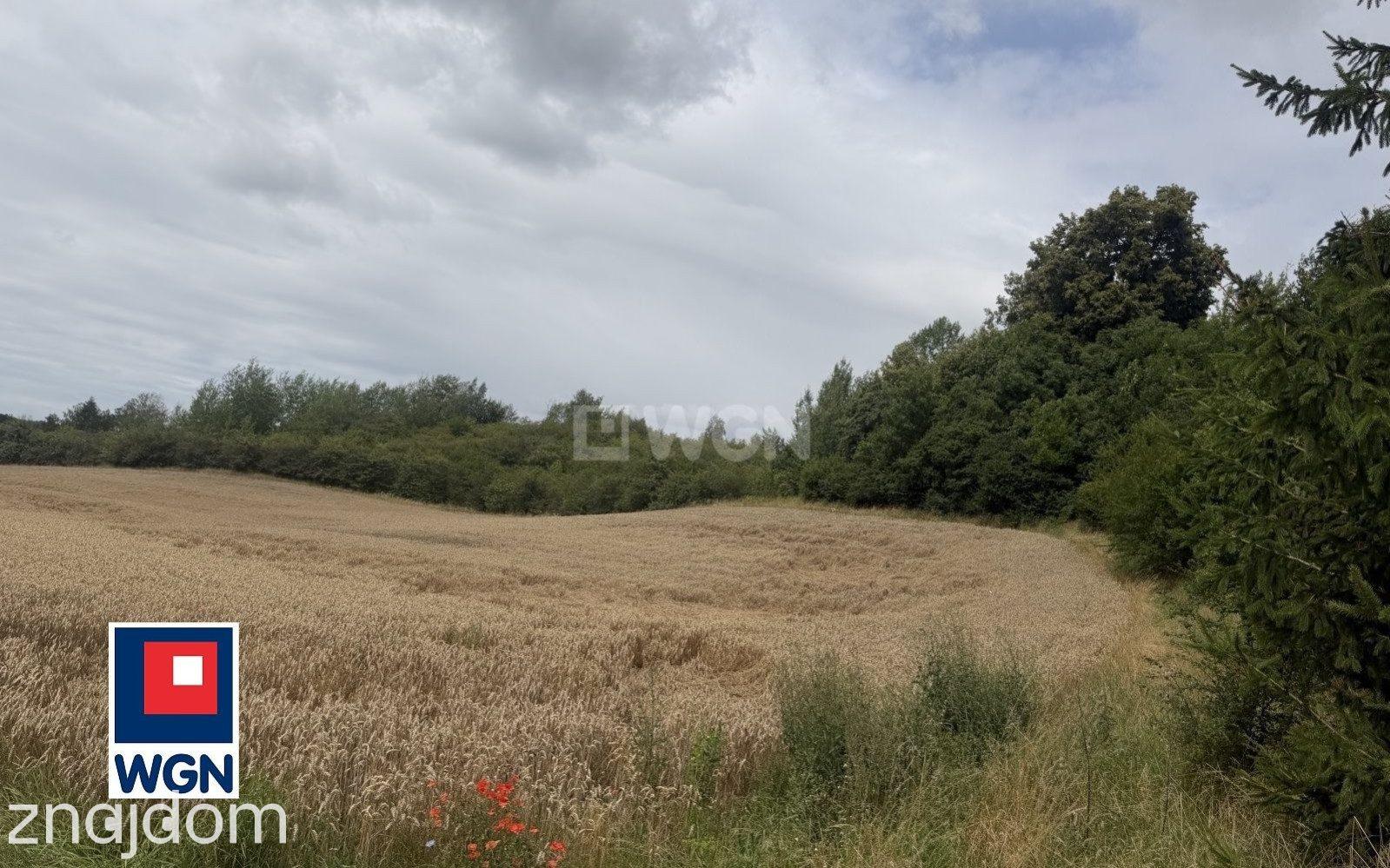 Grunt budowlany jednorodzinny na sprzedaż Wyszowate - Działka na sprzedaż Wyszowate | 4569 m2 | Blisko jeziora | MPZP - zdjęcie 3