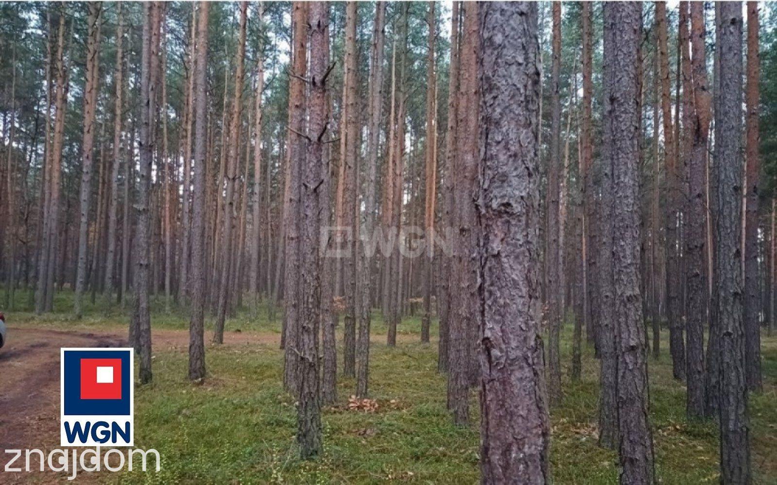 Działka na sprzedaż Żarki Letnisko - zdjęcie 12