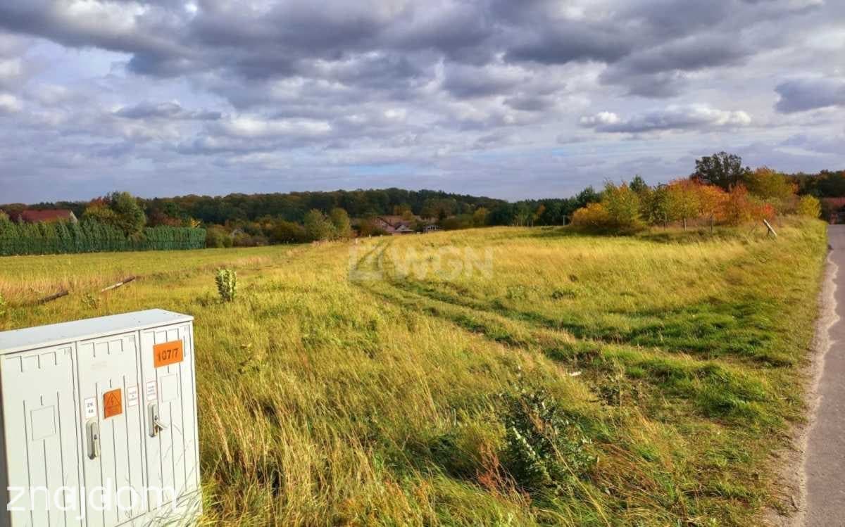 Grunt budowlany jednorodzinny na sprzedaż Wielka Lipa - Działka budowlana 24 km od Wrocławia! - zdjęcie 4