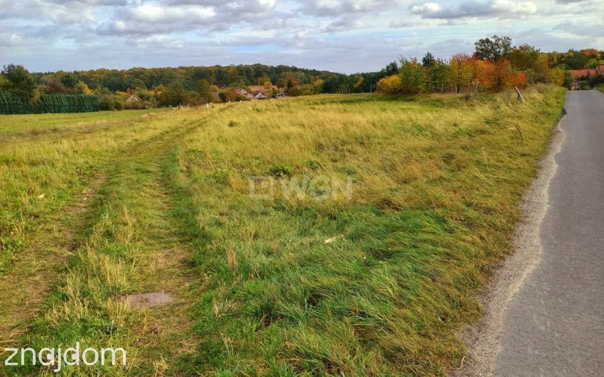 Grunt budowlany jednorodzinny na sprzedaż Wielka Lipa - Działka budowlana 24 km od Wrocławia! - zdjęcie 3