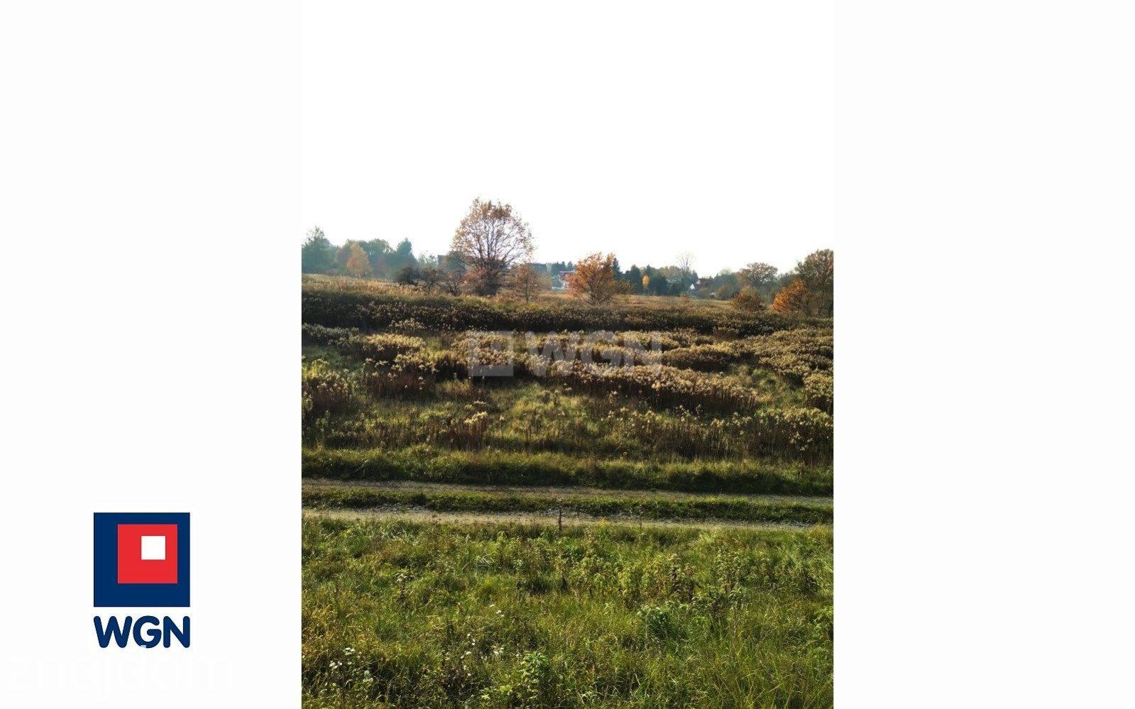 Grunt rekreacyjny/p.o.d. na  sprzedaż Wrocław - Działka rolna 9900m2 bez prowizji, Wrocław Kowale. - zdjęcie 7