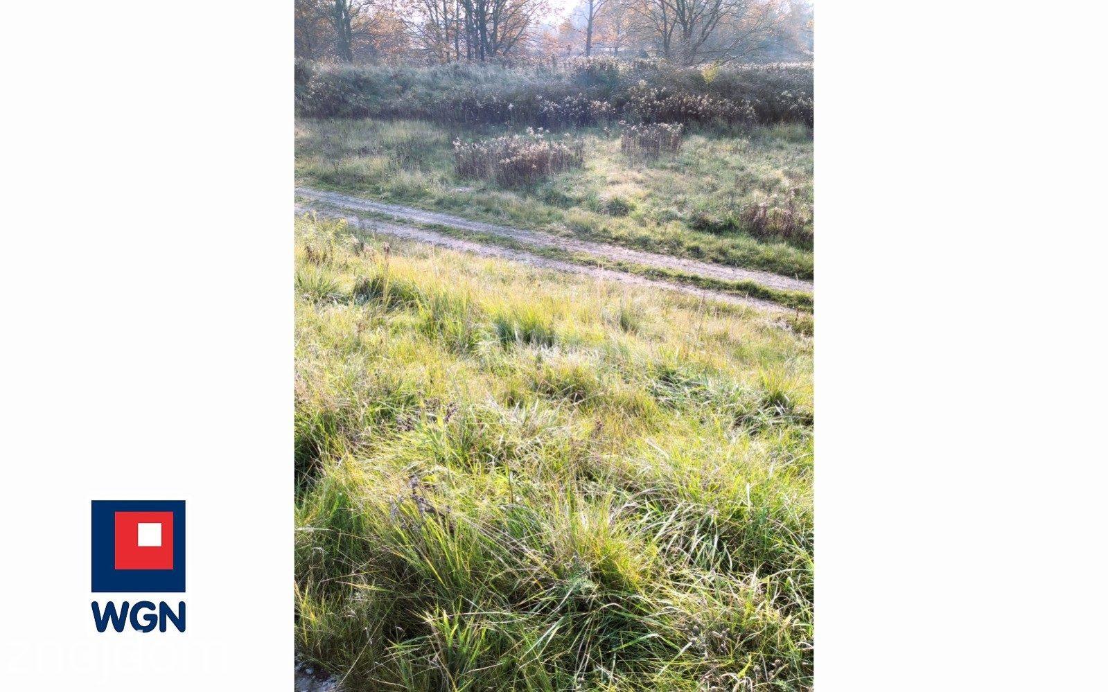 Grunt rekreacyjny/p.o.d. na  sprzedaż Wrocław - Działka rolna 9900m2 bez prowizji, Wrocław Kowale. - zdjęcie 14