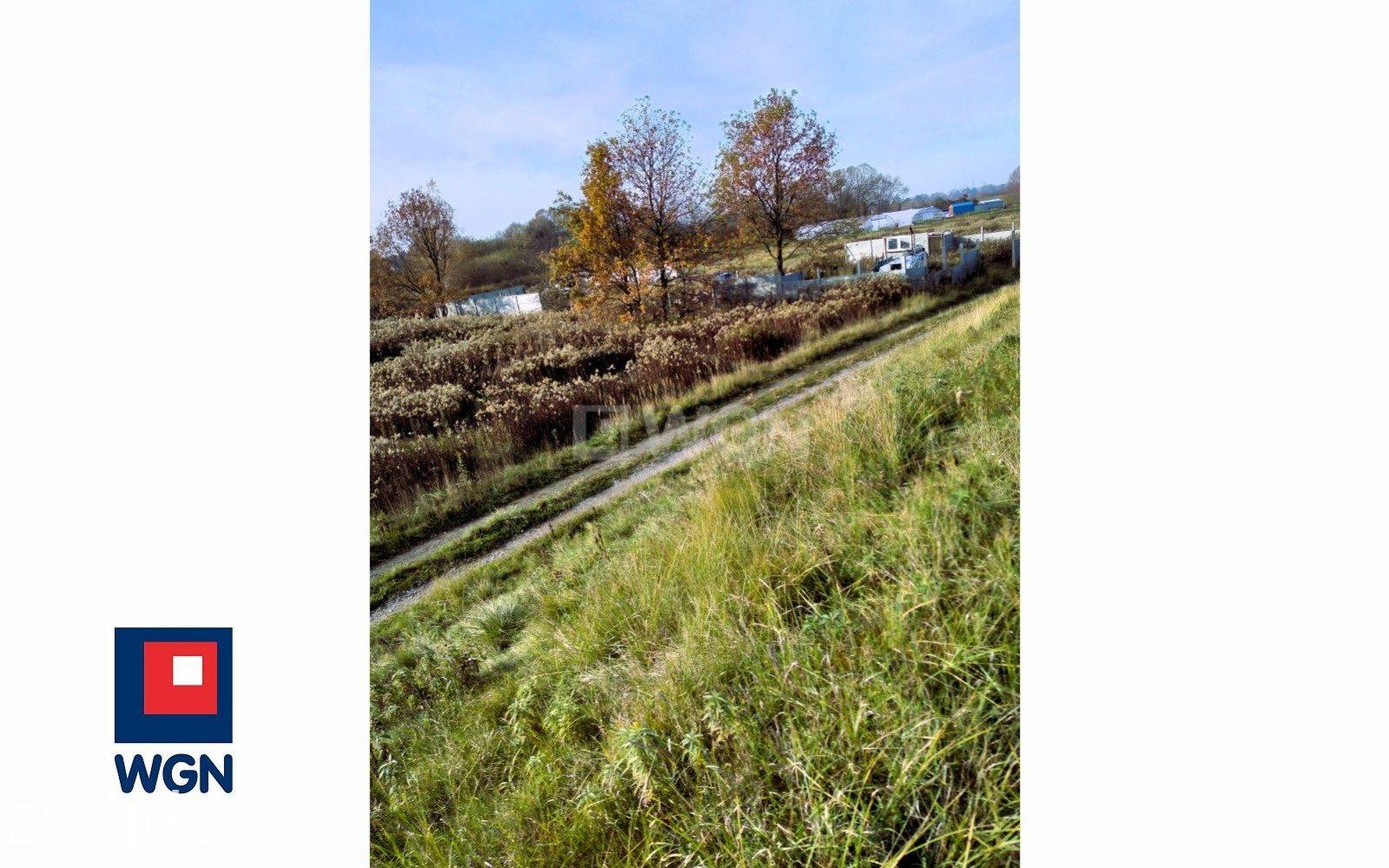 Grunt rekreacyjny/p.o.d. na  sprzedaż Wrocław - Działka rolna 9900m2 bez prowizji, Wrocław Kowale. - zdjęcie 11