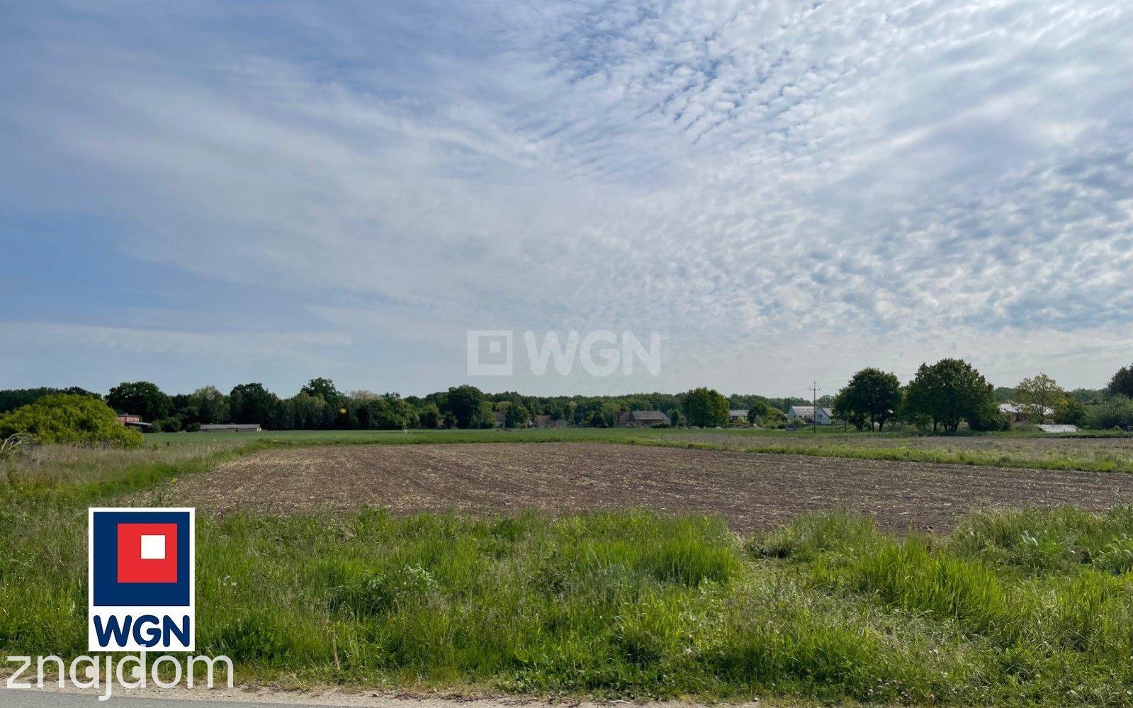 Grunt budowlany jednorodzinny na sprzedaż Kotowice - Na sprzedaż działka budowlana 2151m2 Kotowice, Siechnice. - zdjęcie 9