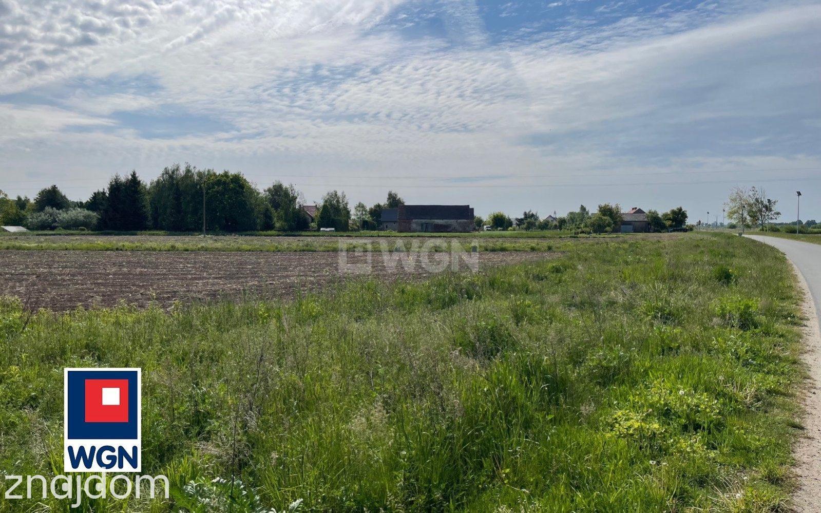 Grunt budowlany jednorodzinny na sprzedaż Kotowice - Działki budowlane na sprzedaż 6700m2 Kotowice Siechnice. - zdjęcie 3