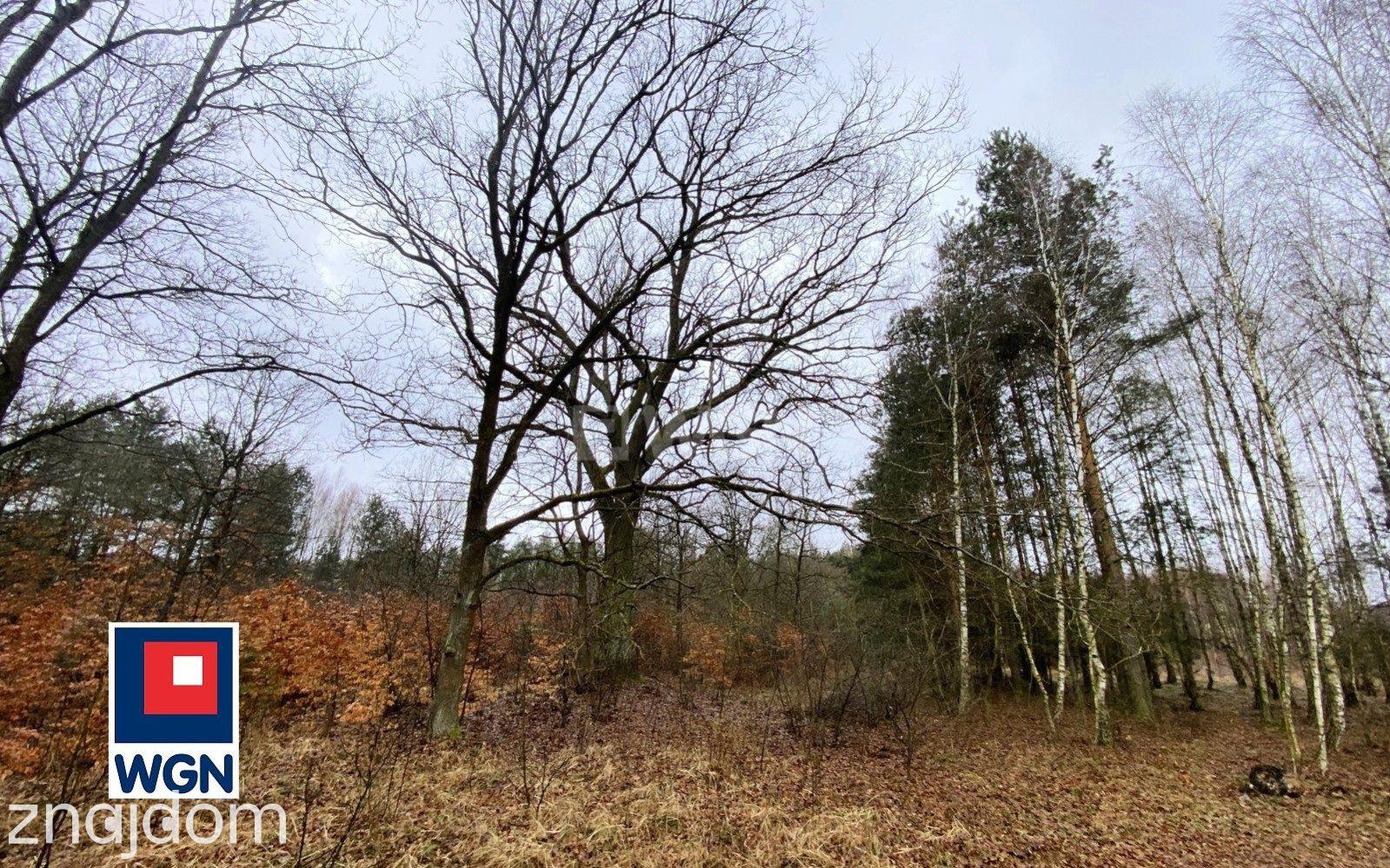 Grunt rolny na  sprzedaż Twardogóra - Mikroklimat, blisko las - działka budowlana na sprzedaż. - zdjęcie 4