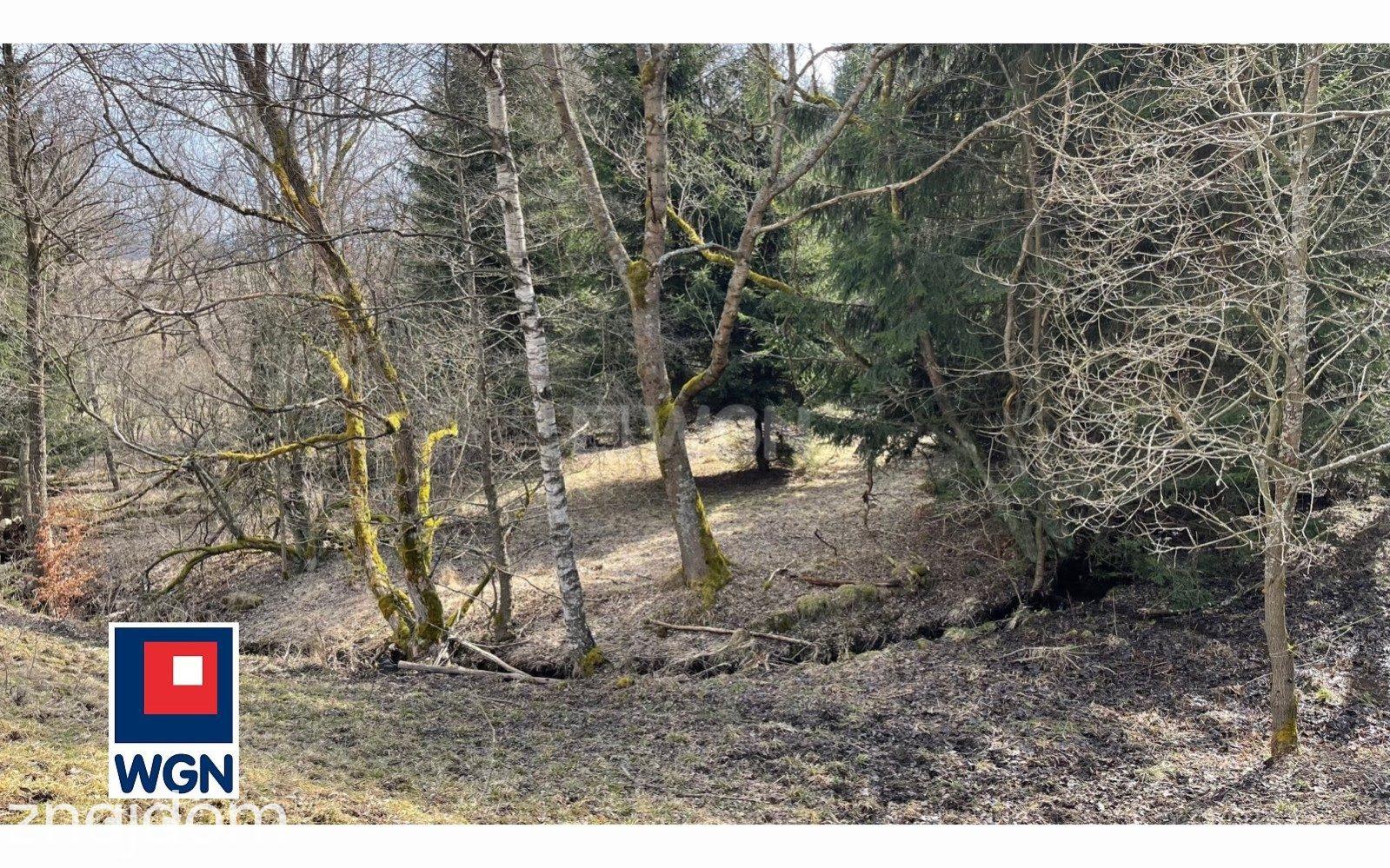 Działka na sprzedaż Ludwikowice Kłodzkie - zdjęcie 6