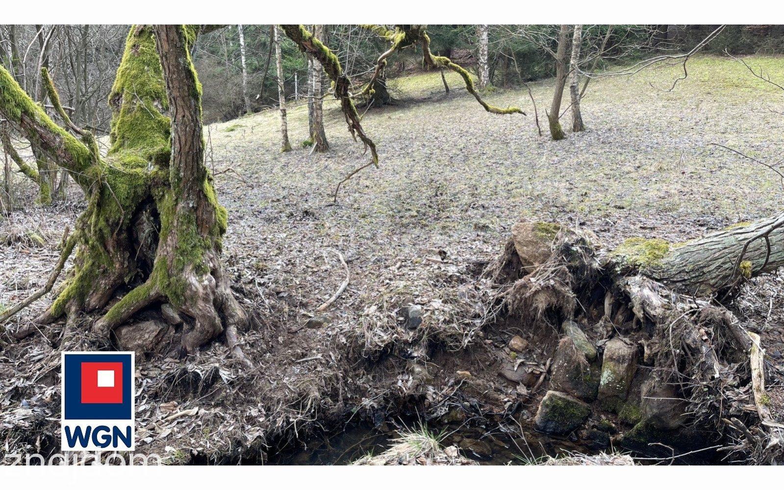 Działka na sprzedaż Ludwikowice Kłodzkie - zdjęcie 5