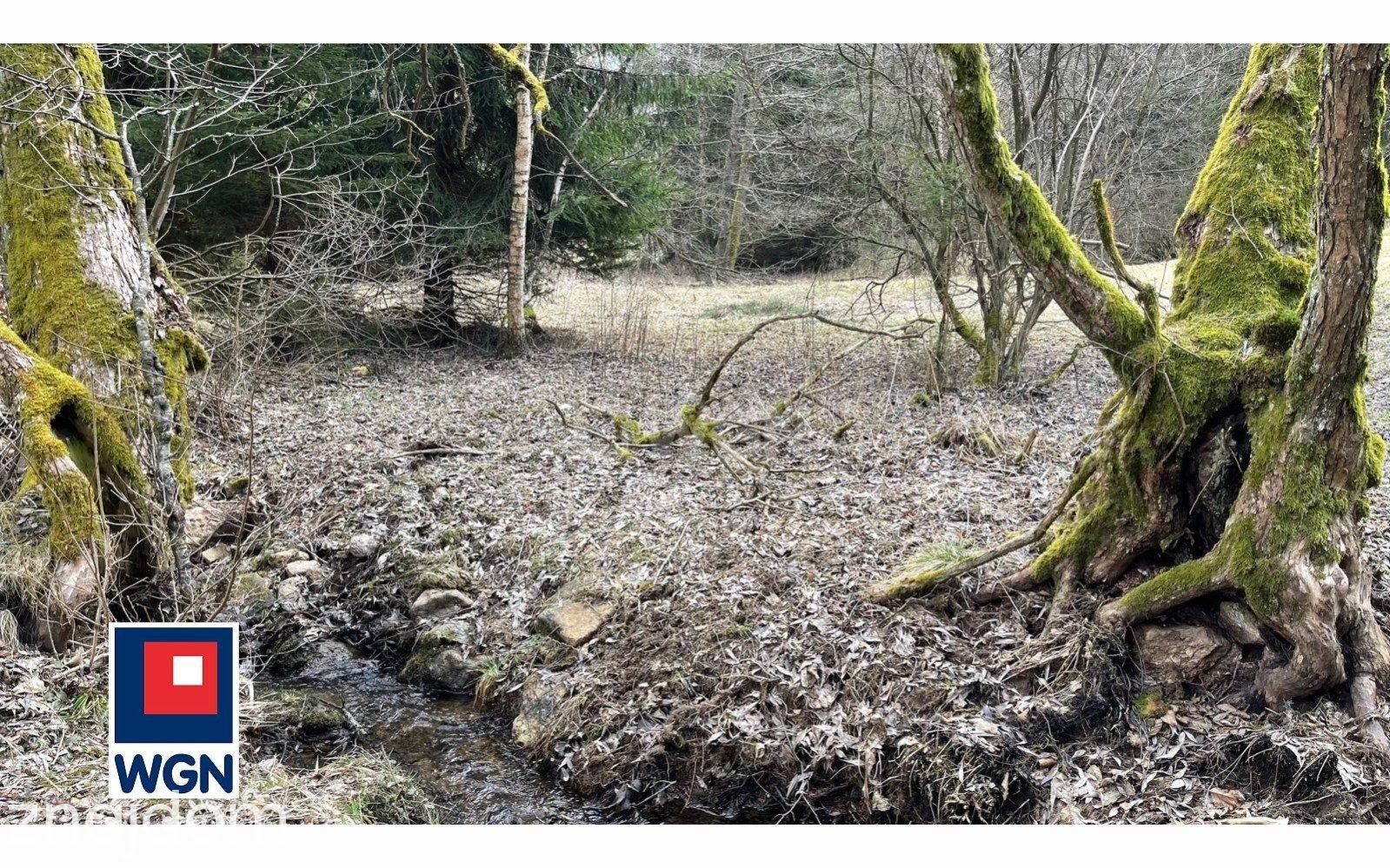 Działka na sprzedaż Ludwikowice Kłodzkie - zdjęcie 4