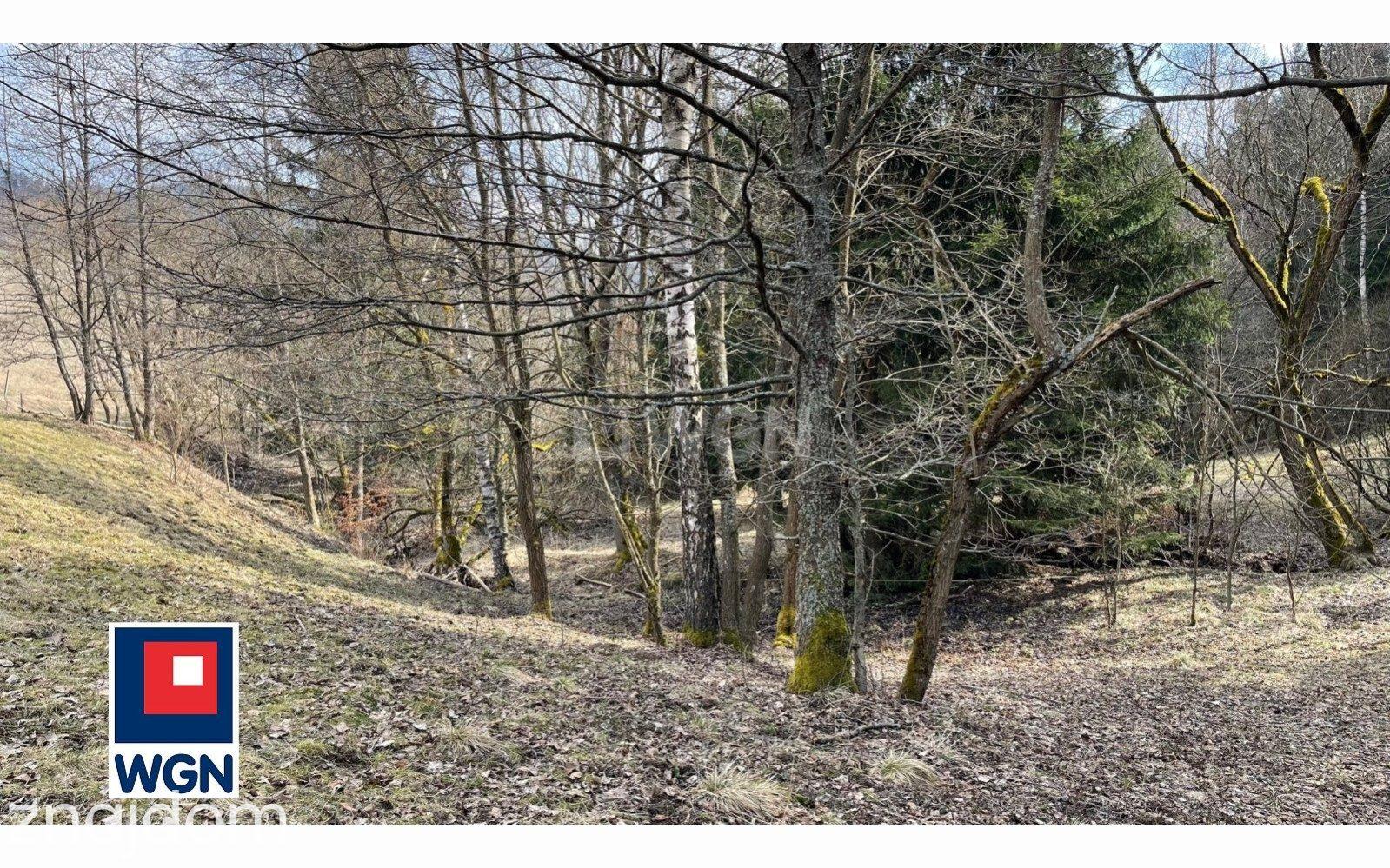 Działka na sprzedaż Ludwikowice Kłodzkie - zdjęcie 2