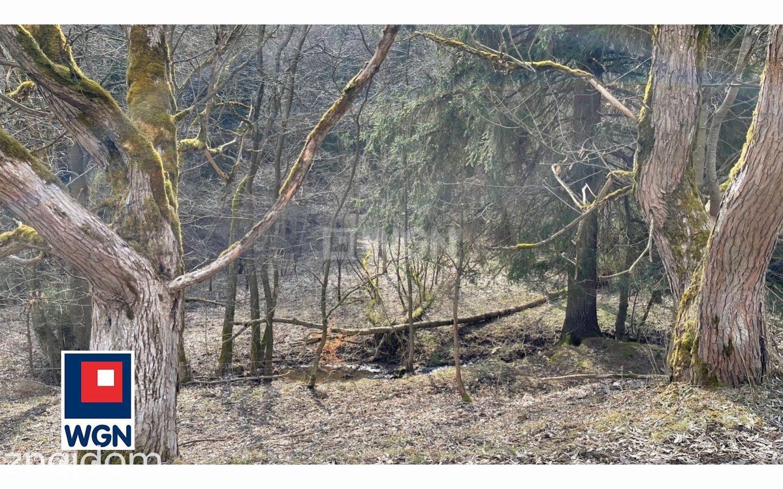 Działka na sprzedaż Ludwikowice Kłodzkie - zdjęcie 13