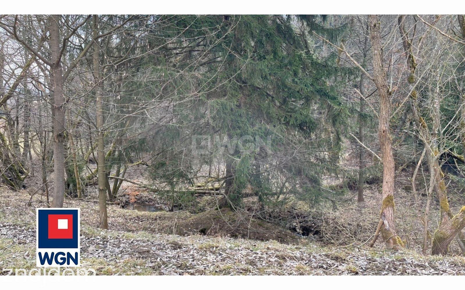 Działka na sprzedaż Ludwikowice Kłodzkie - zdjęcie 12