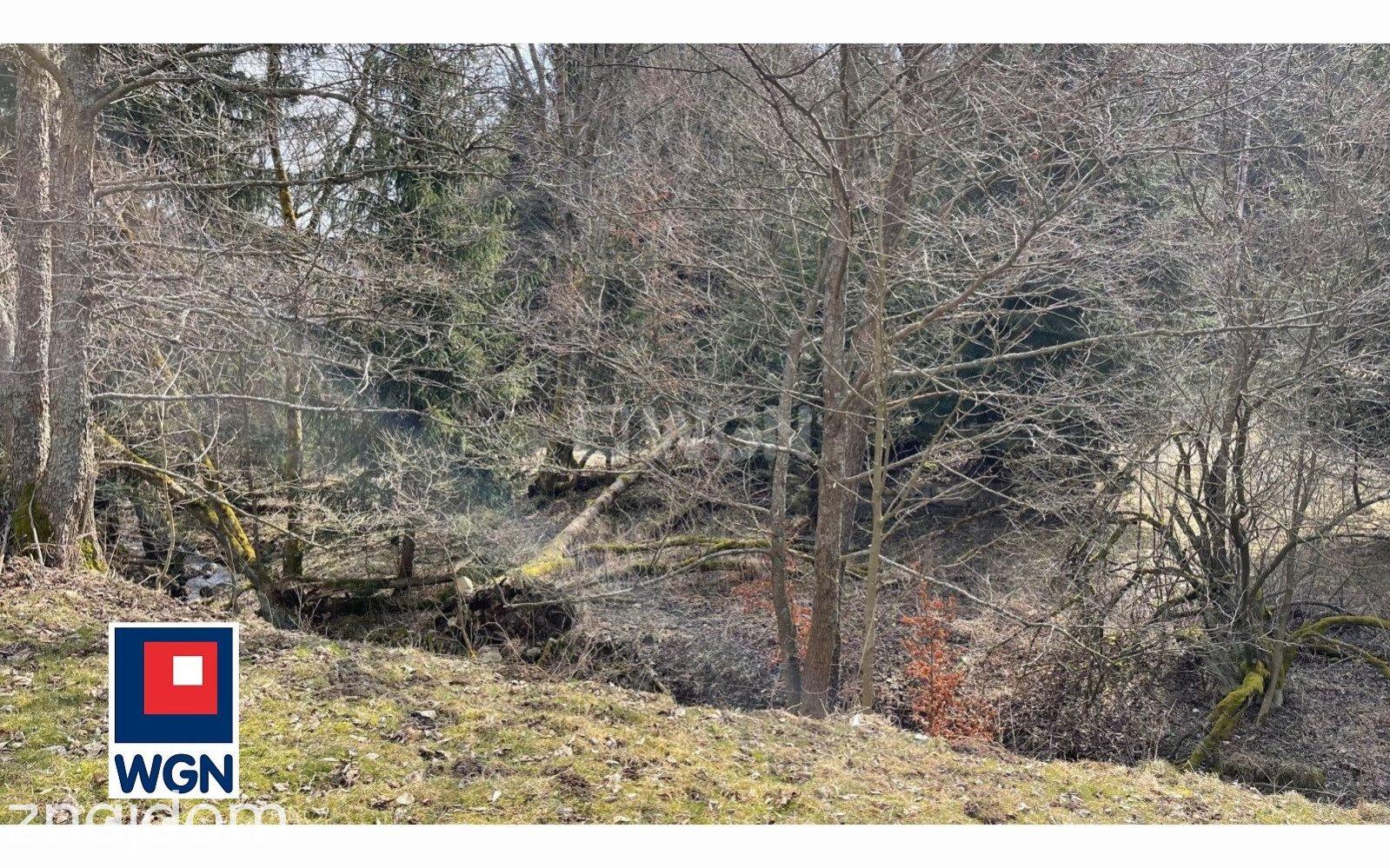 Działka na sprzedaż Ludwikowice Kłodzkie - zdjęcie 11