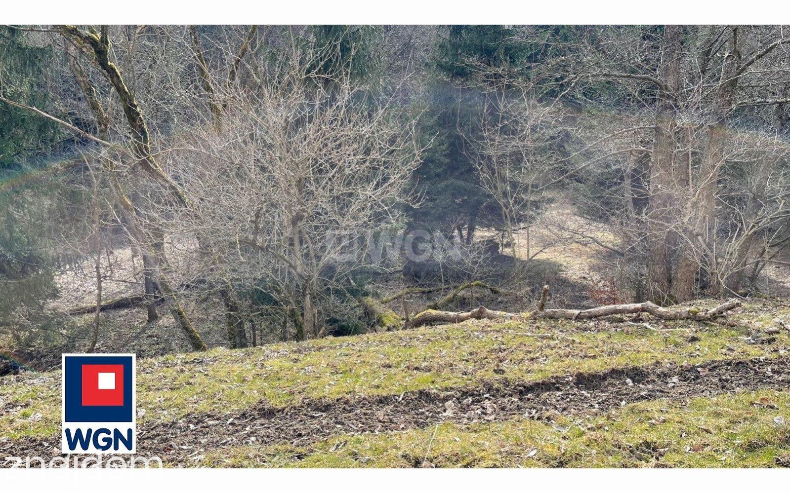 Działka na sprzedaż Ludwikowice Kłodzkie - zdjęcie 9