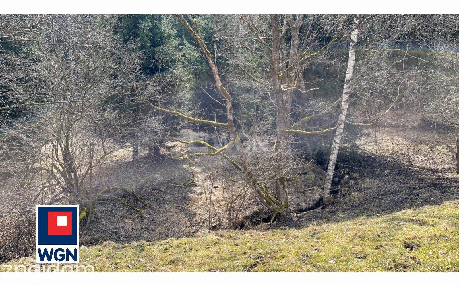 Działka na sprzedaż Ludwikowice Kłodzkie - zdjęcie 8