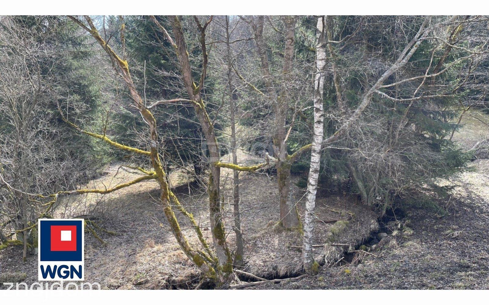 Działka na sprzedaż Ludwikowice Kłodzkie - zdjęcie 7