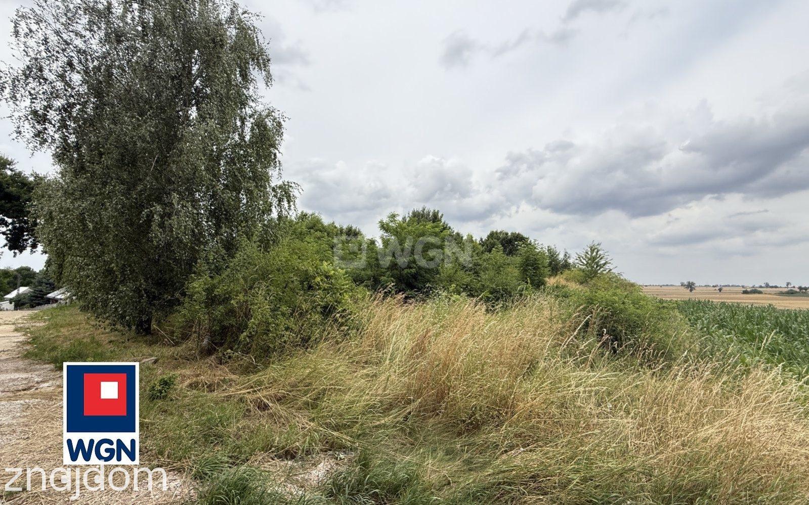 Grunt budowlano rzemieślniczy na sprzedaż Paździorno - Działka budowlana z widokiem na Slężę. - zdjęcie 8