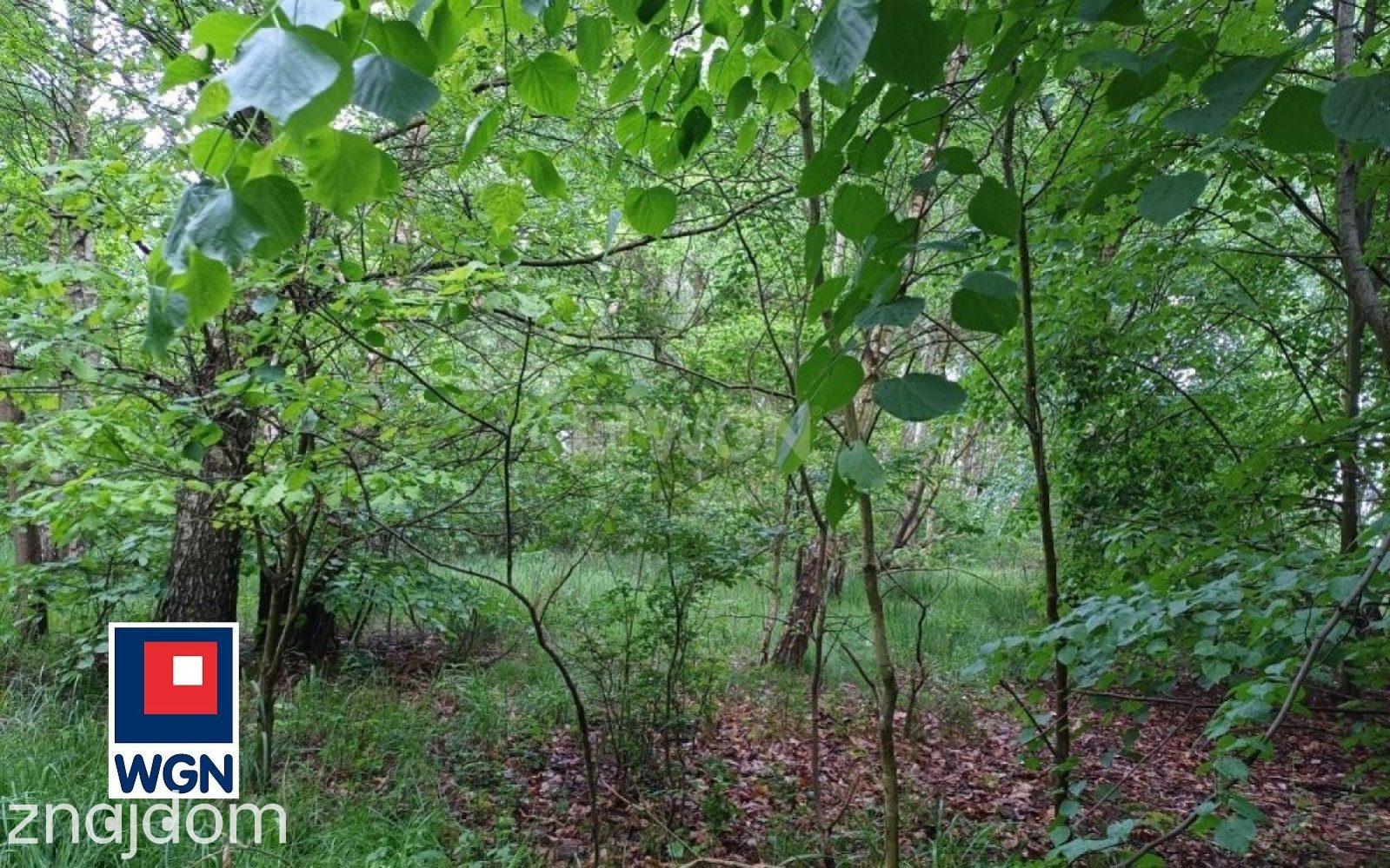 Działka na sprzedaż Myszków - zdjęcie 11