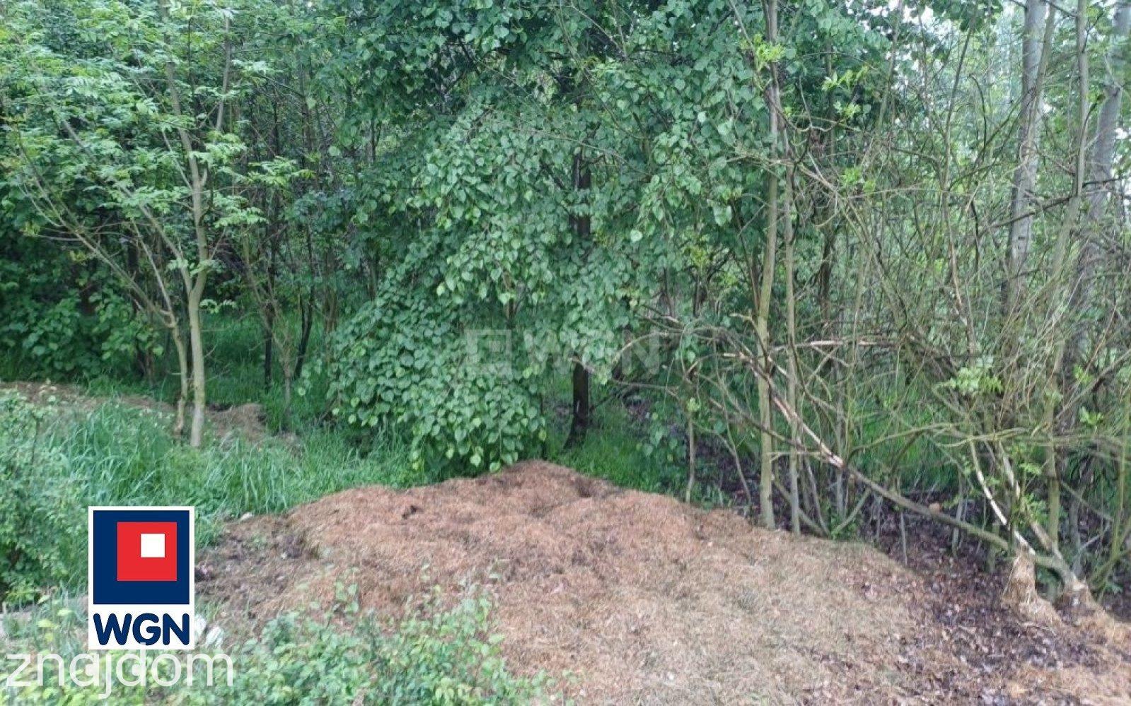 Działka na sprzedaż Myszków - zdjęcie 6