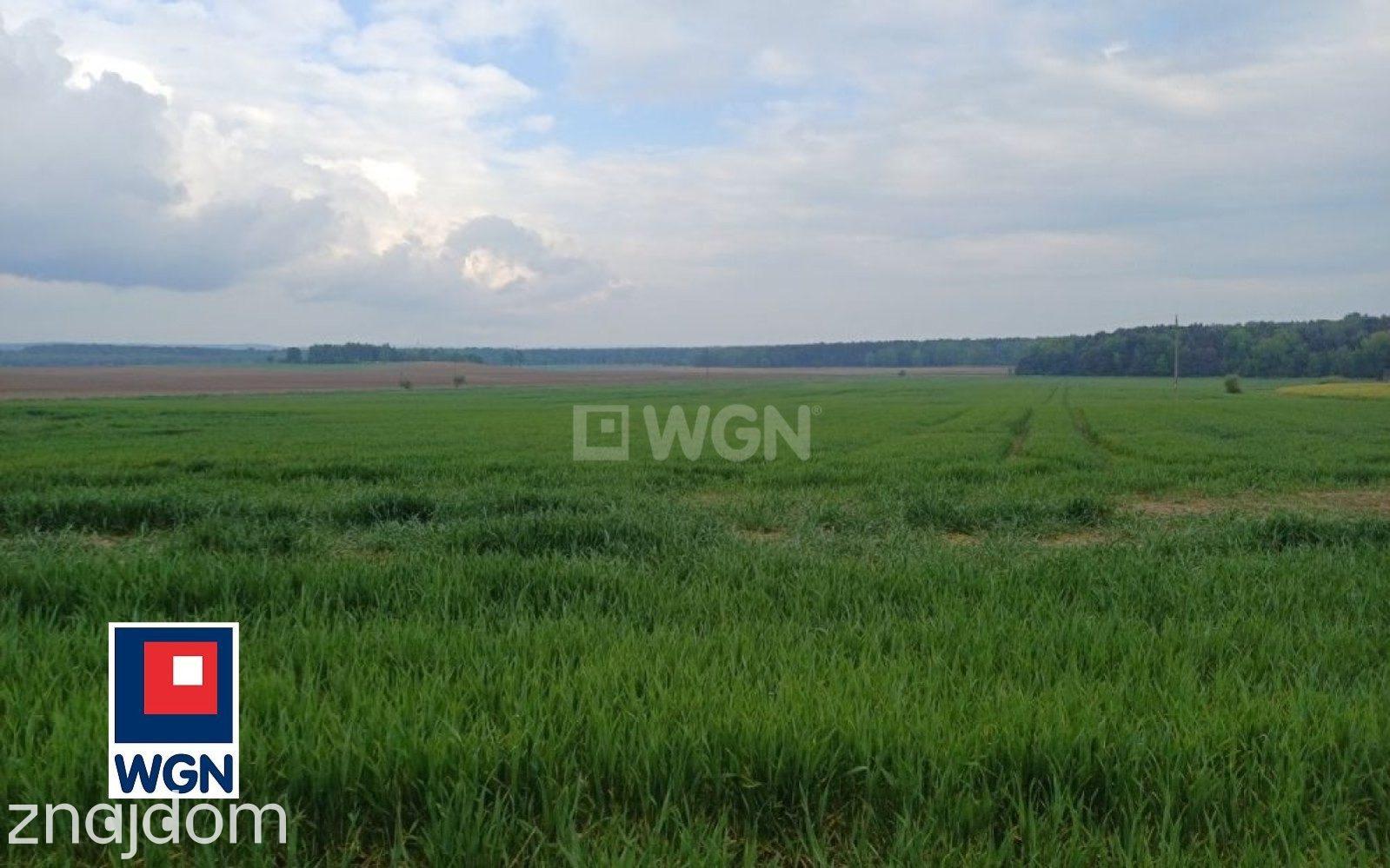 Działka na sprzedaż Myszków - zdjęcie 5