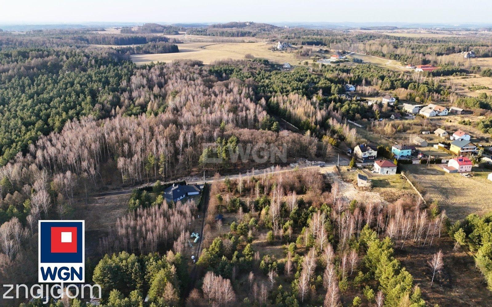 Grunt budowlany jednorodzinny na sprzedaż Ryczów-Kolonia - Cisza i spokój - zdjęcie 5