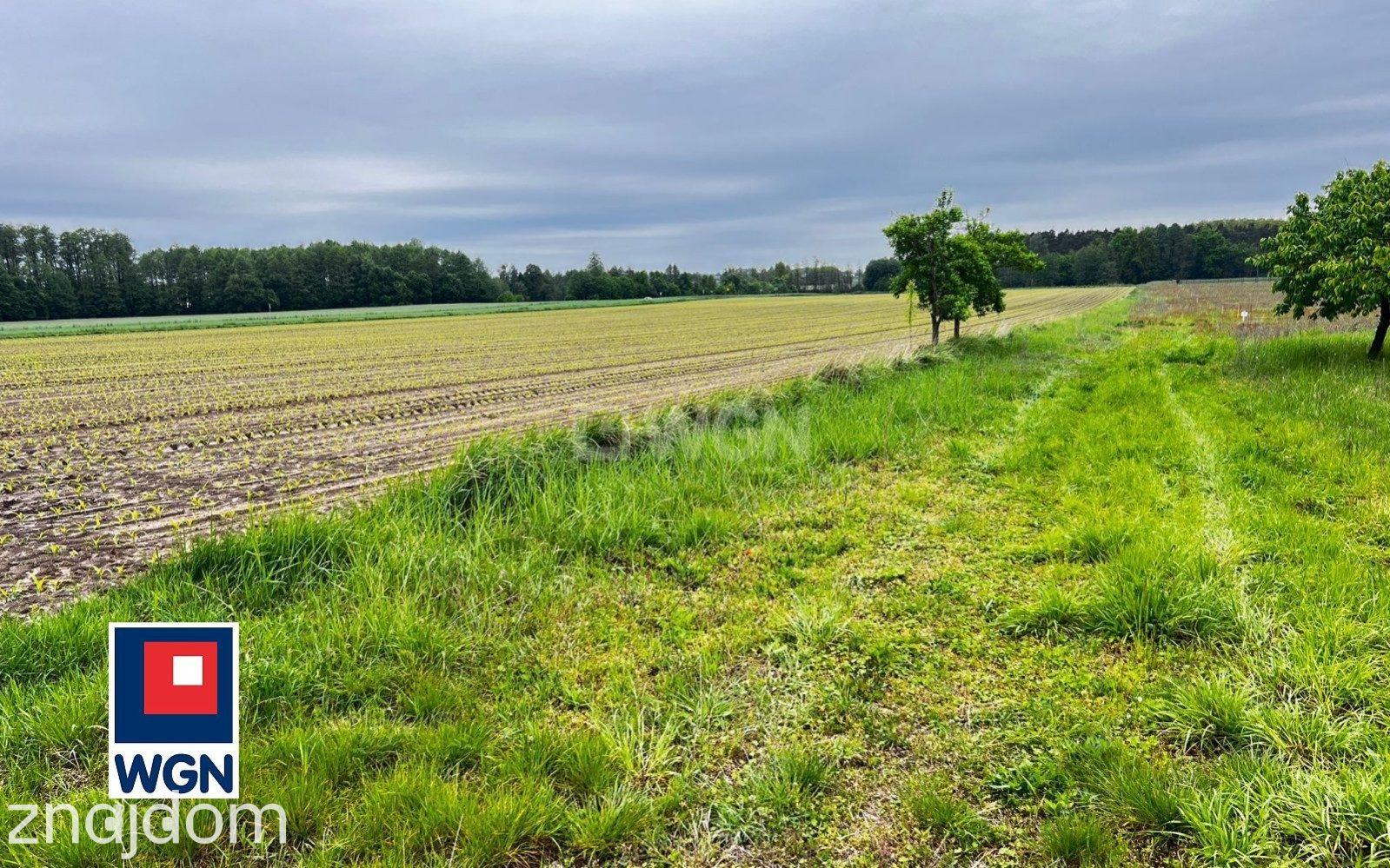 Działka na sprzedaż Nowy Karolew - zdjęcie 7