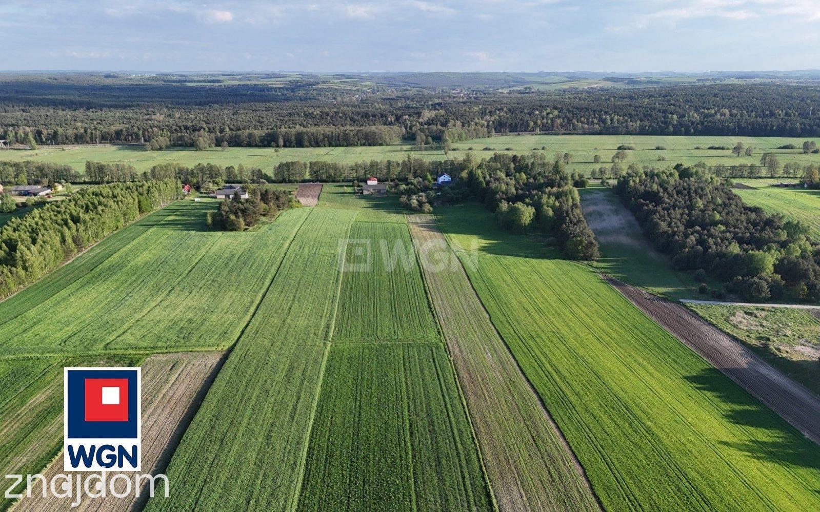 Dom na  sprzedaż Wilków - Malownicze siedlisko, gm. Irządze - zdjęcie 3
