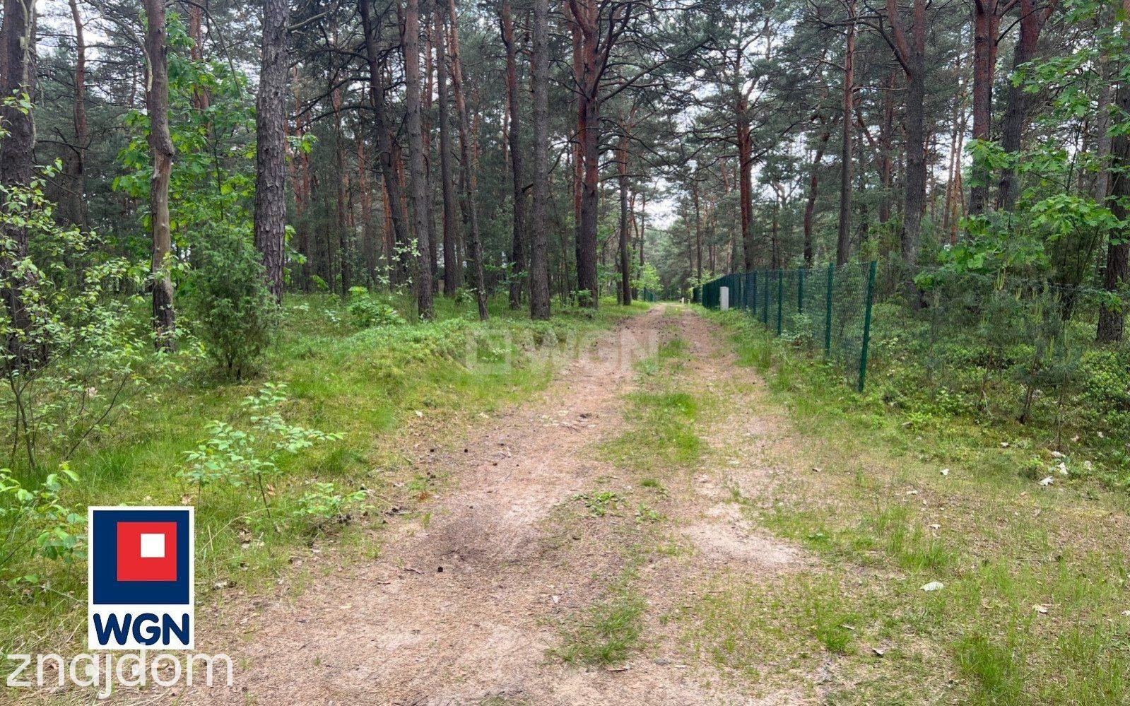 Działka na sprzedaż Zaborze - zdjęcie 3