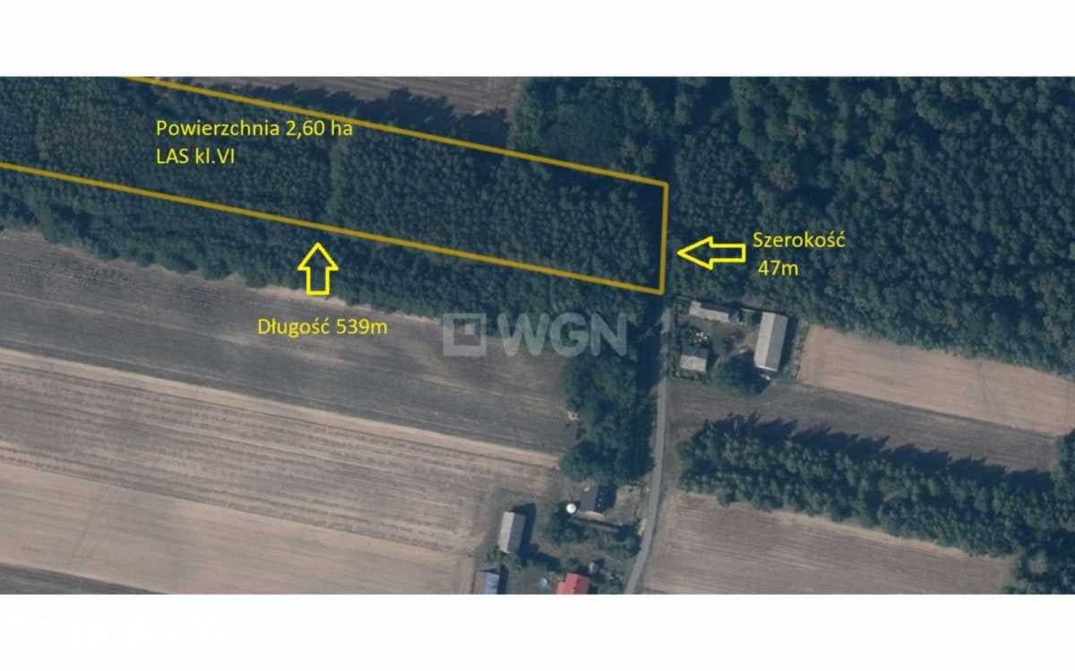 Działka na sprzedaż Borki - zdjęcie 3