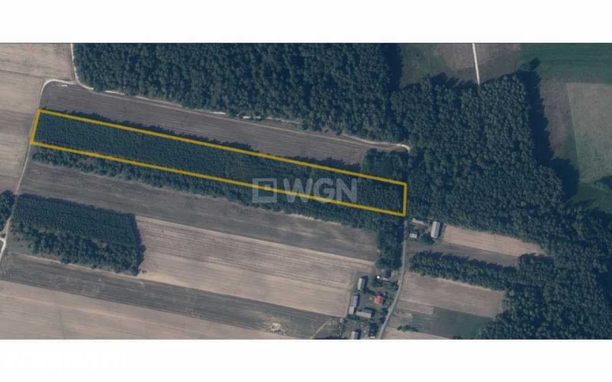 Działka na sprzedaż Borki - zdjęcie 2