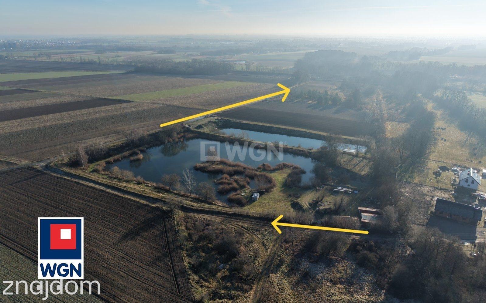 Grunt rolny na sprzedaż Siekierowice - Nieruchomość nad wodą , cisza i natura - zdjęcie 6
