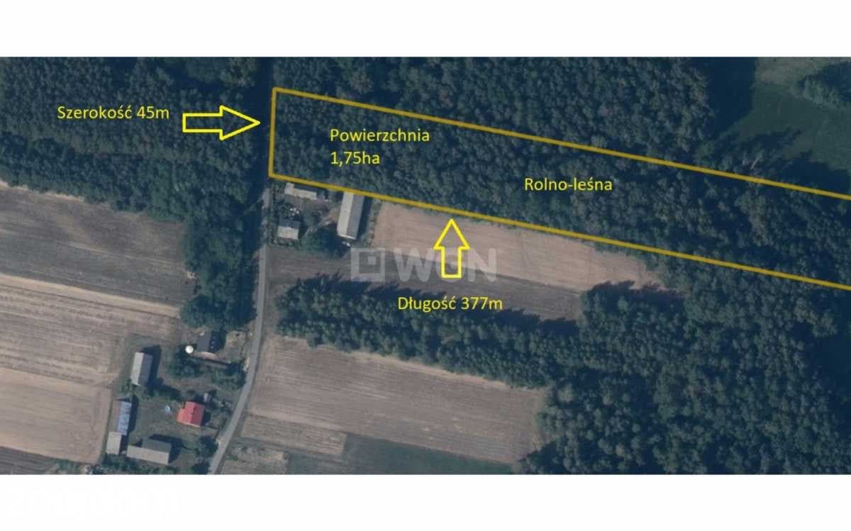 Działka na sprzedaż Borki - zdjęcie 3