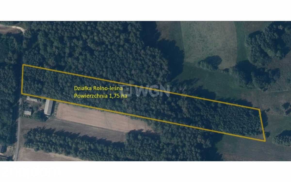 Działka na sprzedaż Borki - zdjęcie 2