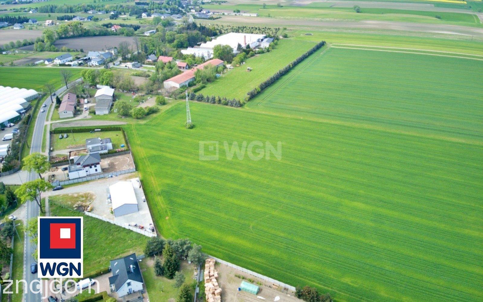 Grunt budowlany jednorodzinny na sprzedaż Tarnowo Podgórne - Teren inwestycyjny (5 działek), objęty MPZP, Tarnowo Podgórne. - zdjęcie 13
