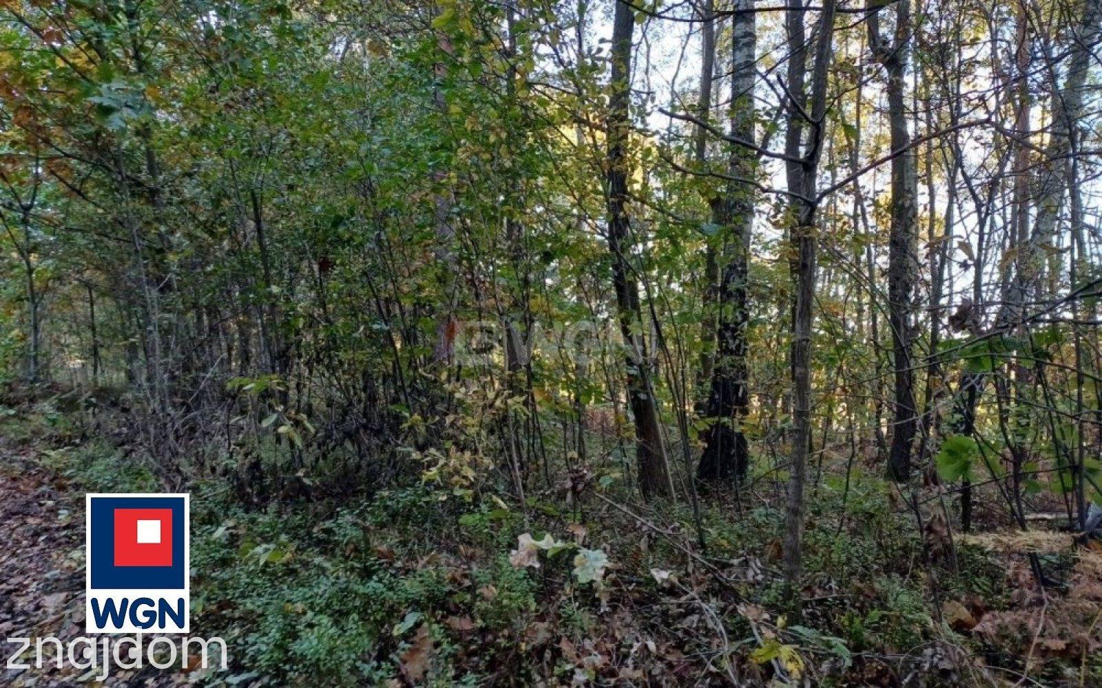 Działka na sprzedaż Rudnik Mały - zdjęcie 2