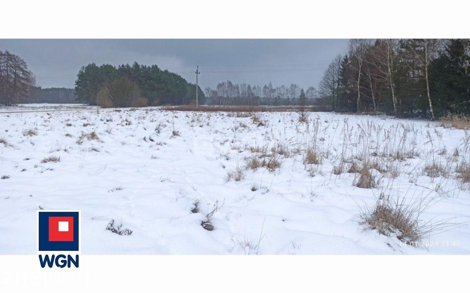 Działka na sprzedaż Zaróg - zdjęcie 2