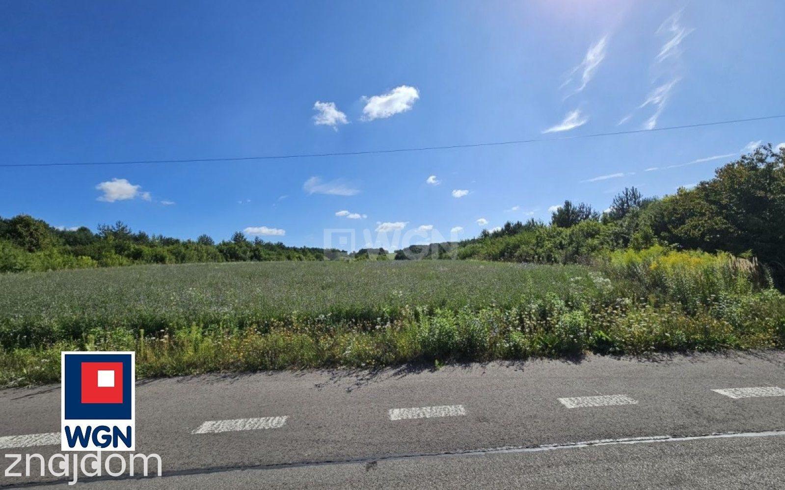 Działka na sprzedaż Suliszowice - zdjęcie 4