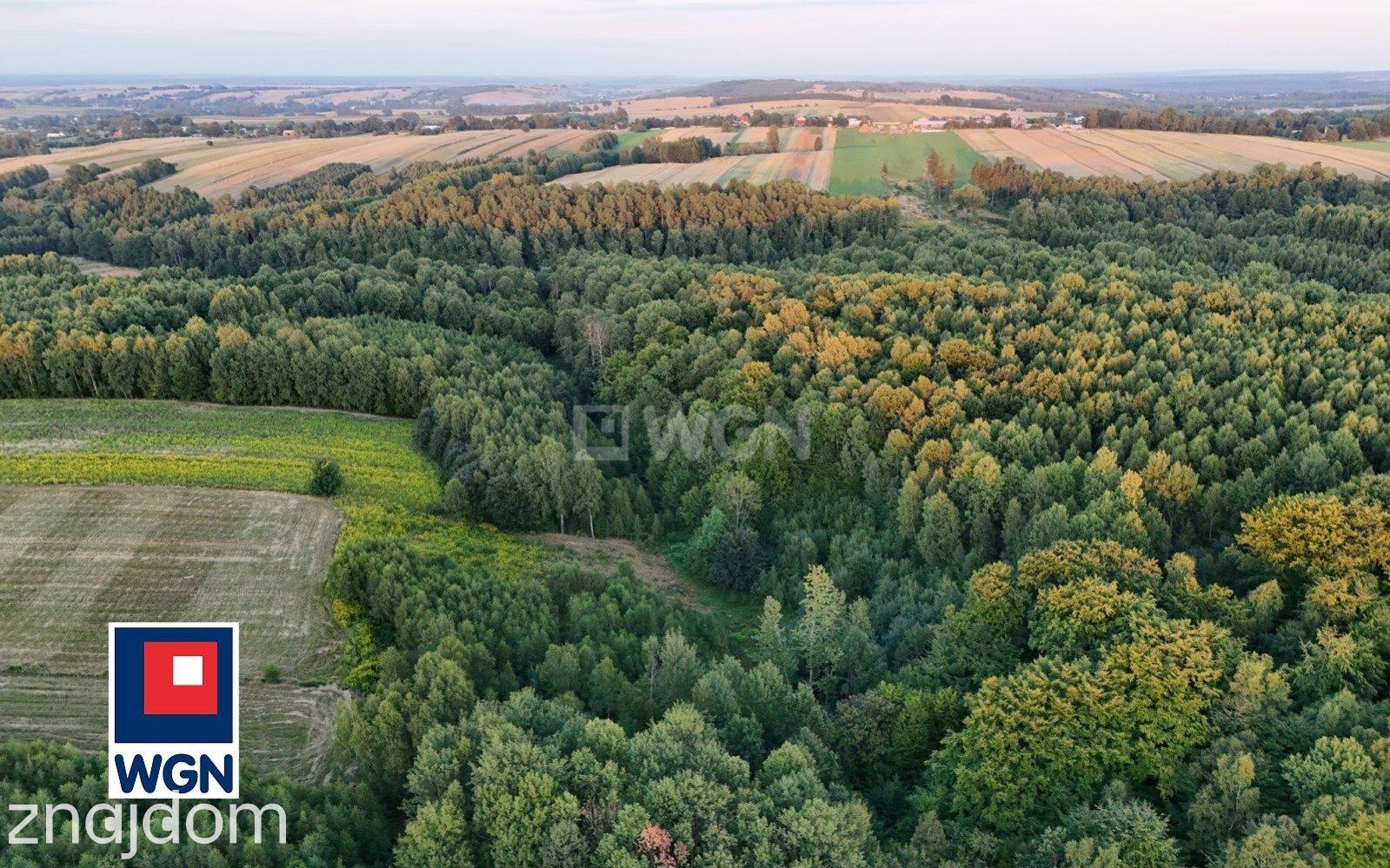 Działka na sprzedaż Antolka - zdjęcie 6