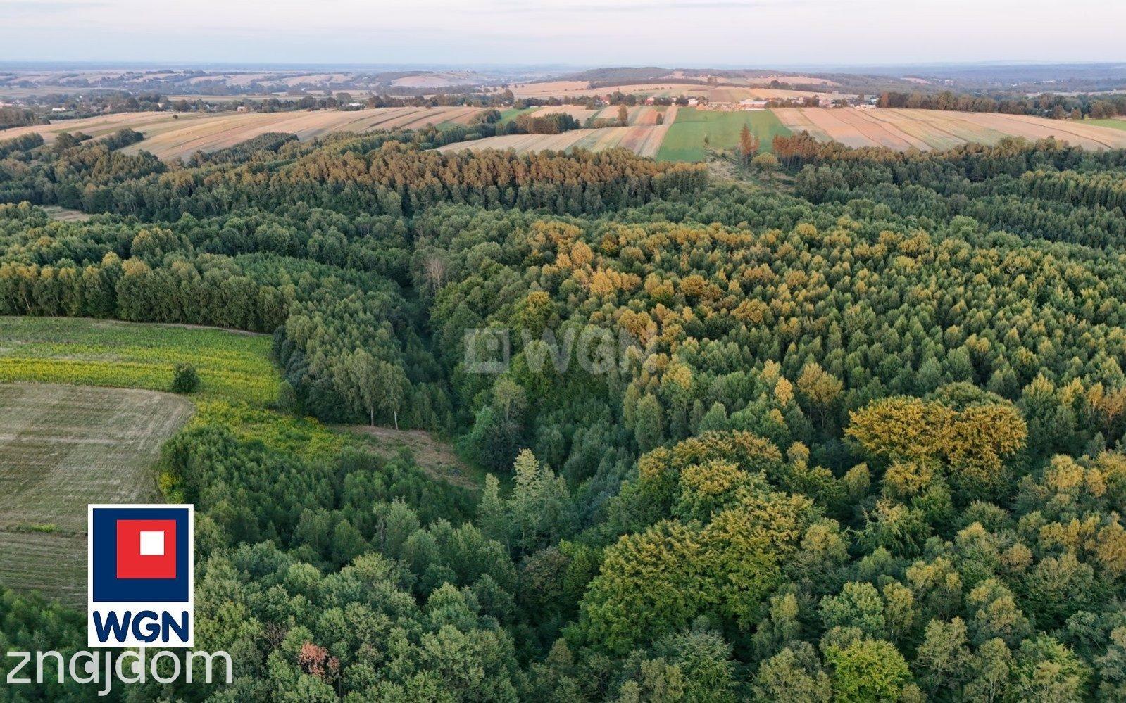 Działka na sprzedaż Antolka - zdjęcie 2